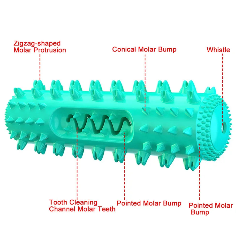 Brinquedo/Escova de dentes para molares