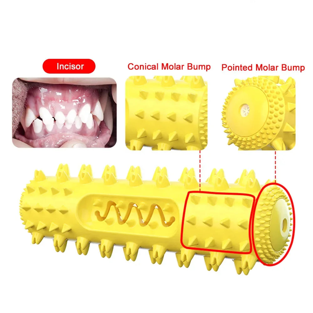 Brinquedo/Escova de dentes para molares