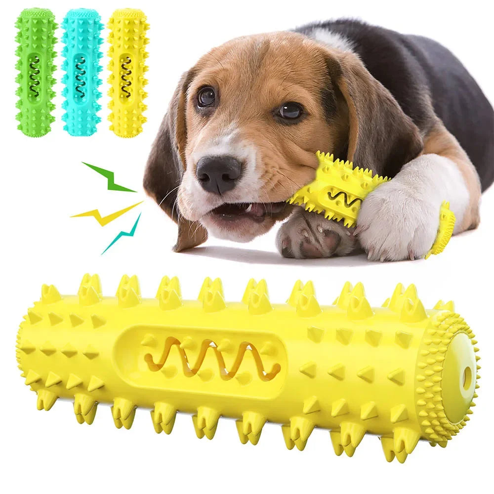 Brinquedo/Escova de dentes para molares