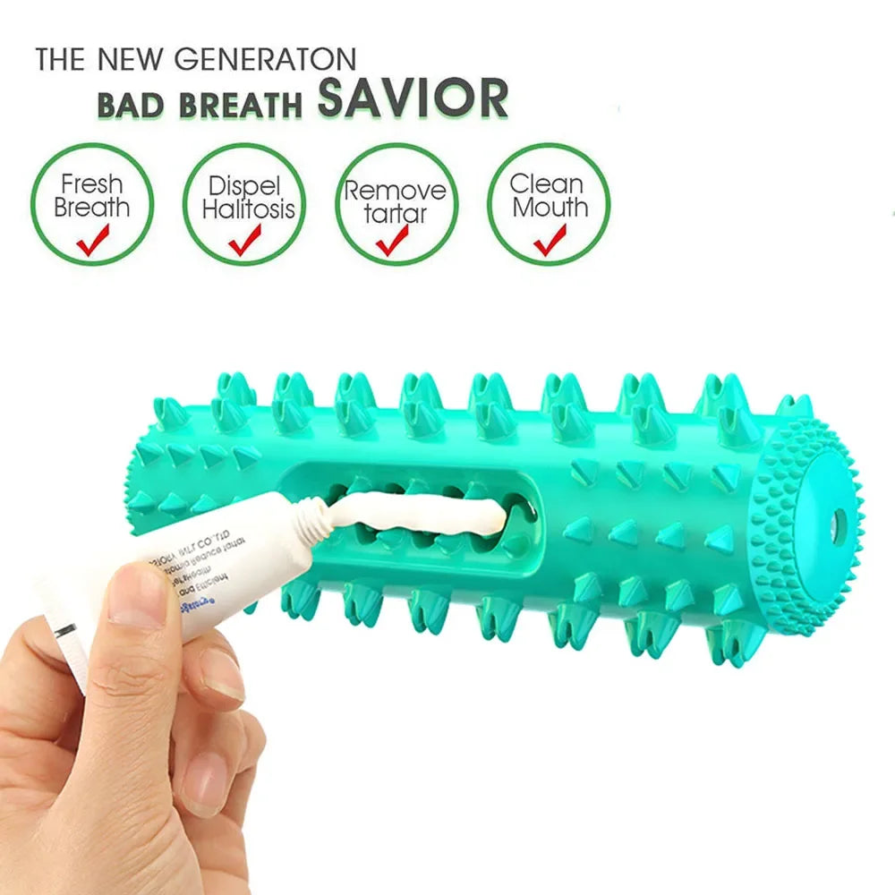 Brinquedo/Escova de dentes para molares